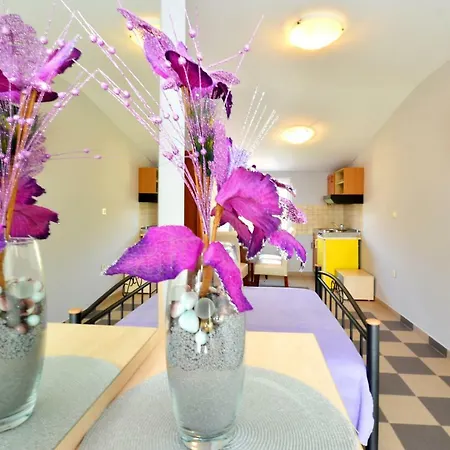 Petra Appartement *